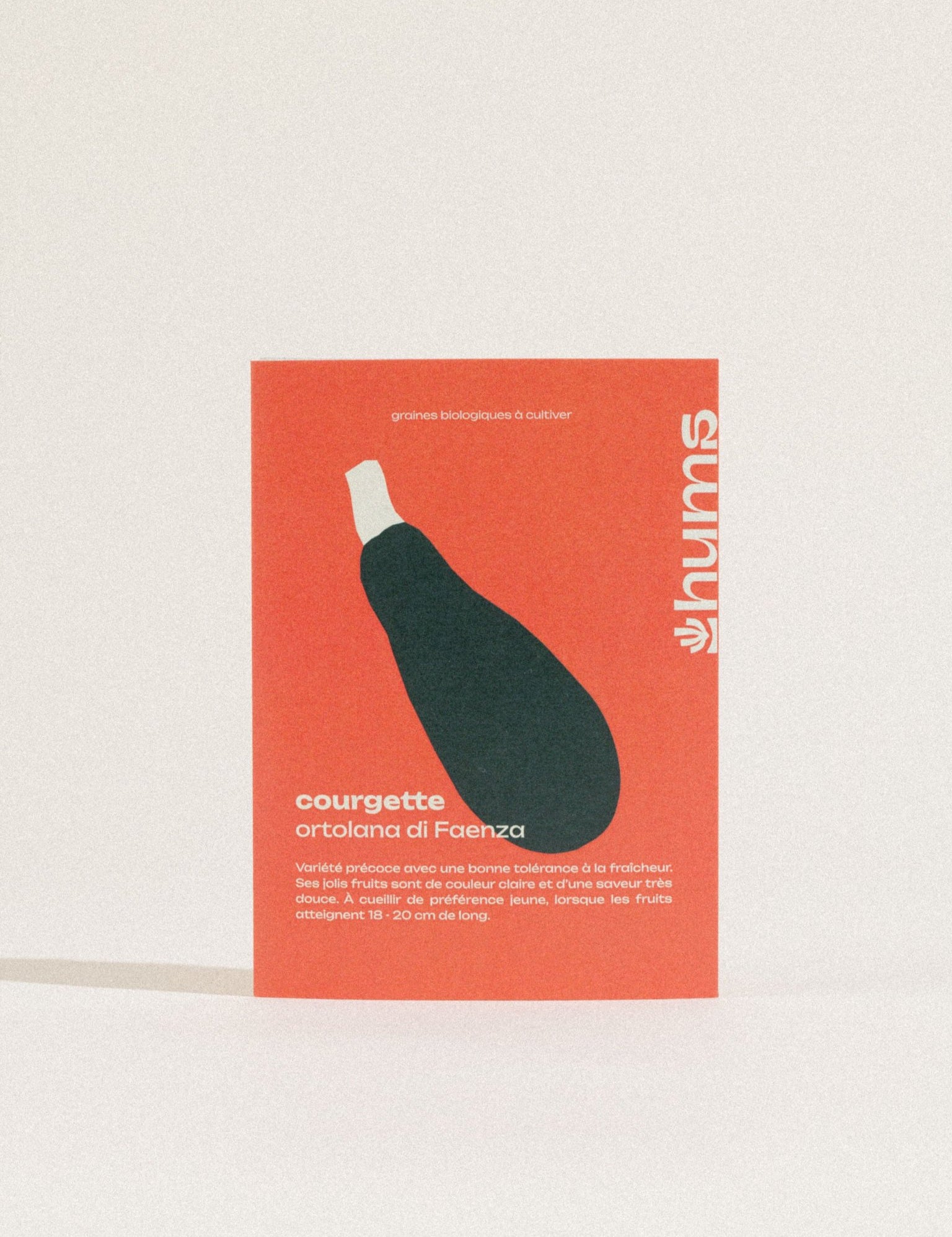 graines de courgette ortolana di faenza bio