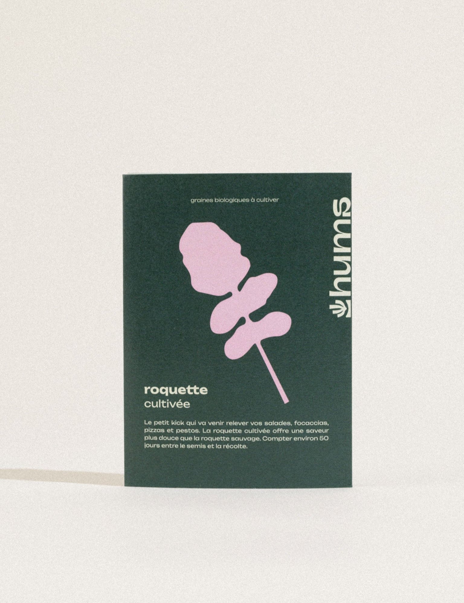 graines potager roquette cultivée bio