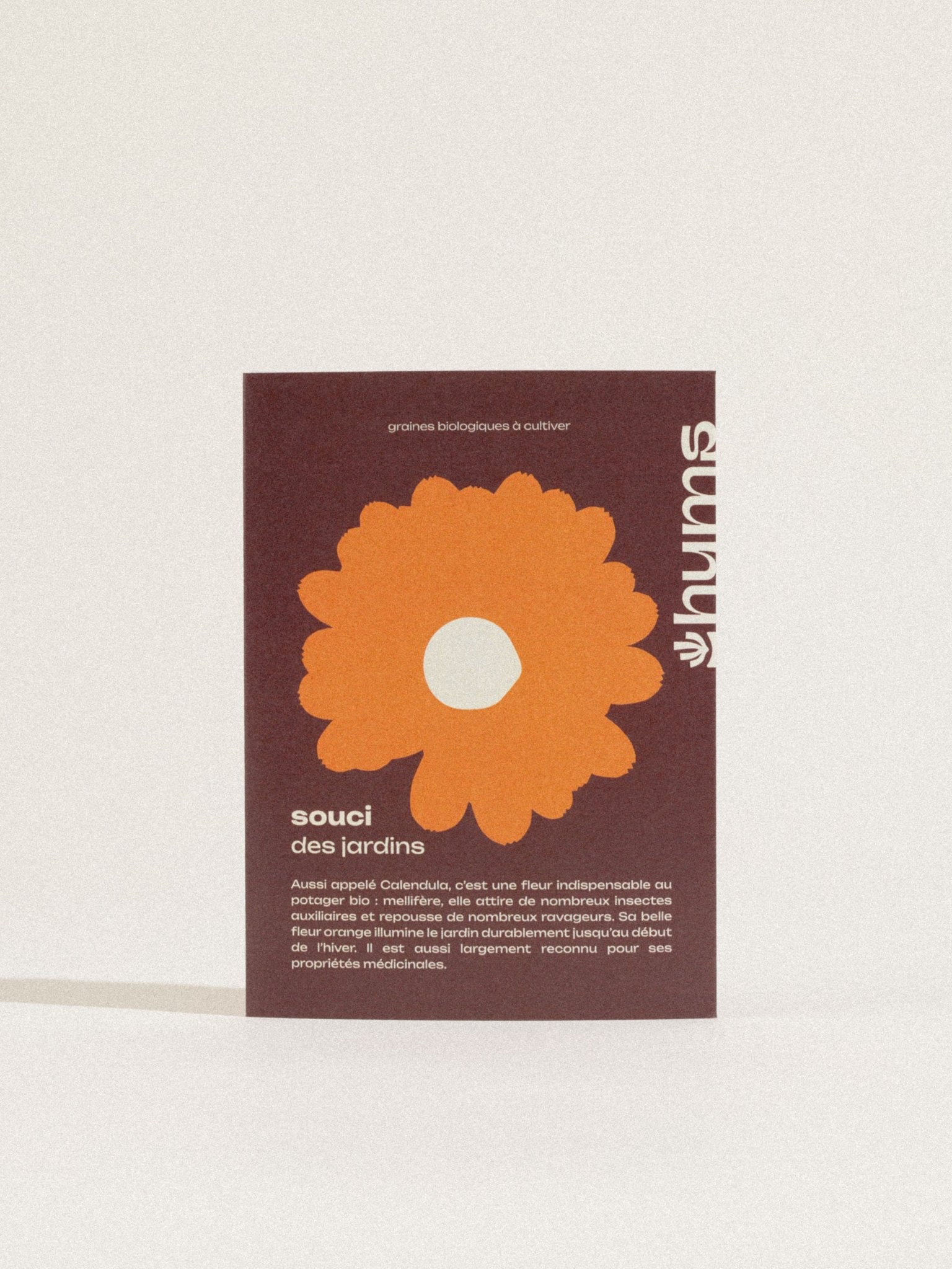 graines de souci officinal