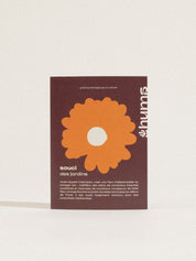 graines de souci officinal