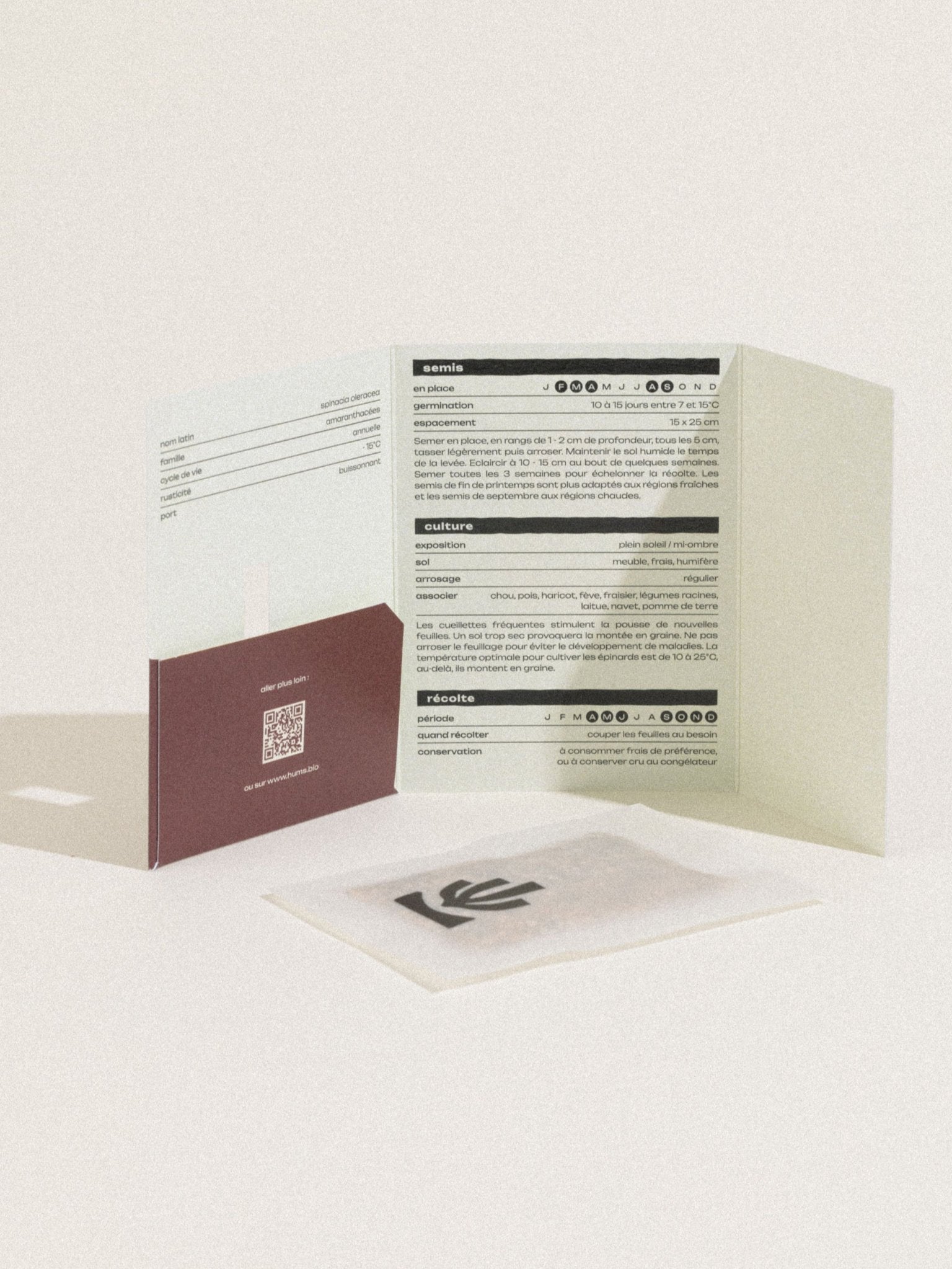 graines épinards matador bio