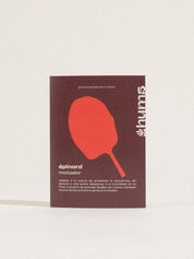 graines épinards matador bio