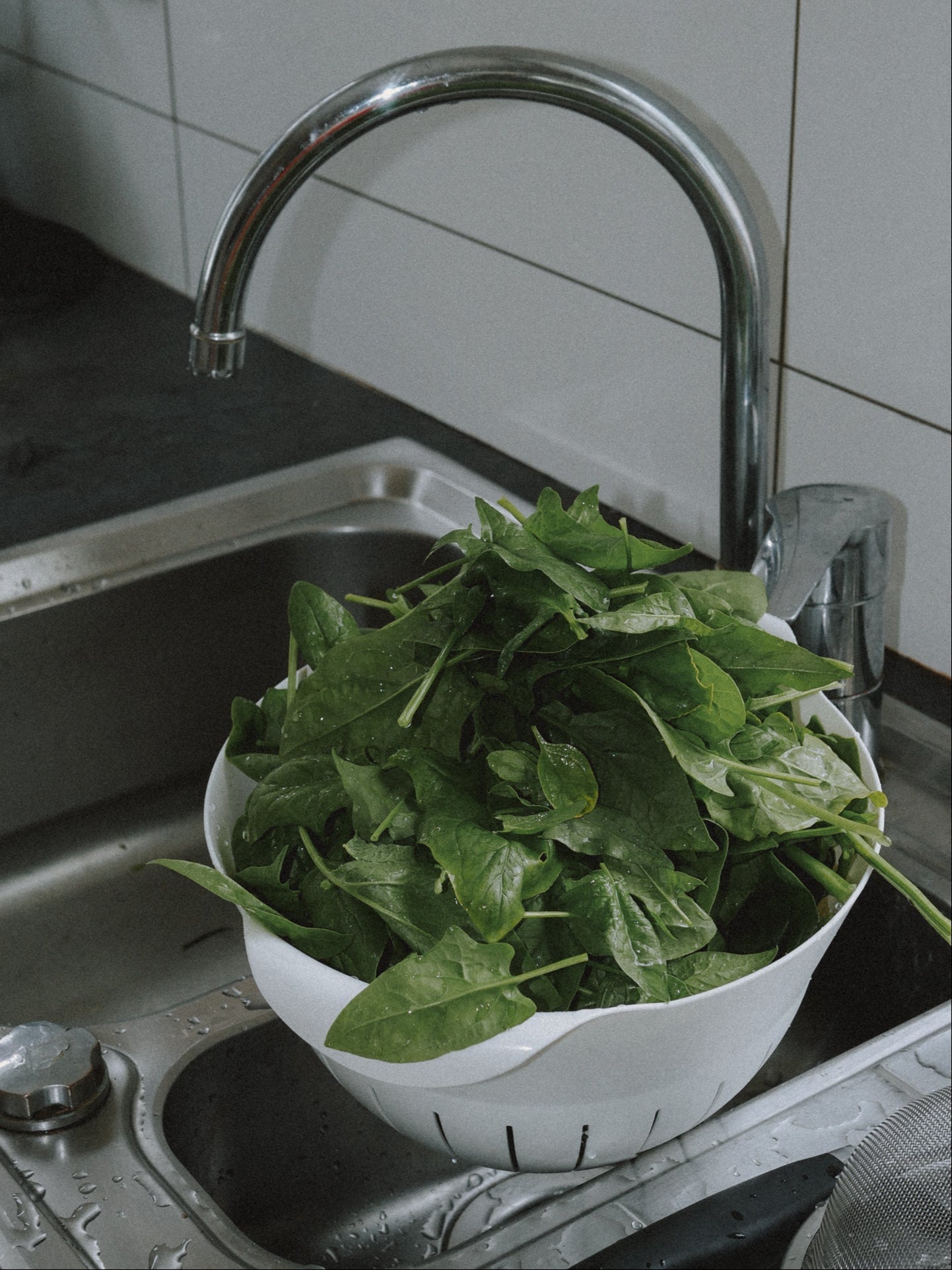 épinards matador bio