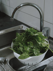 épinards matador bio