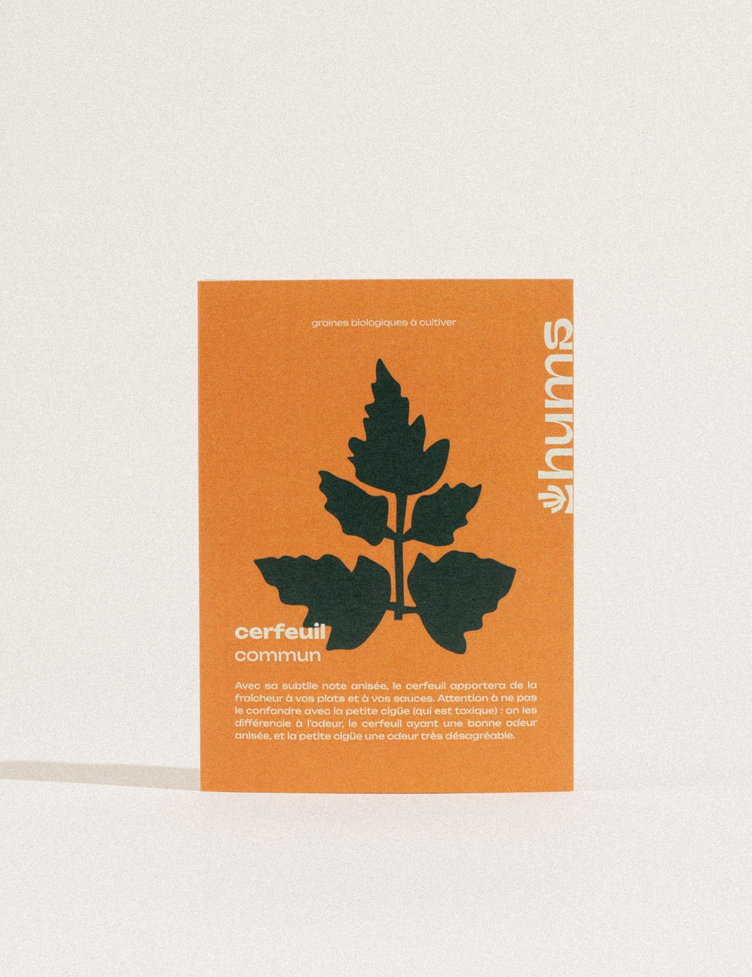graines de cerfeuil commun bio hums