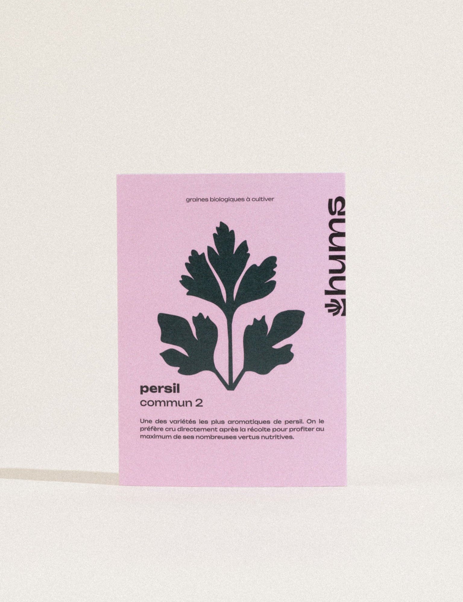 graines de persil commun 2 bio