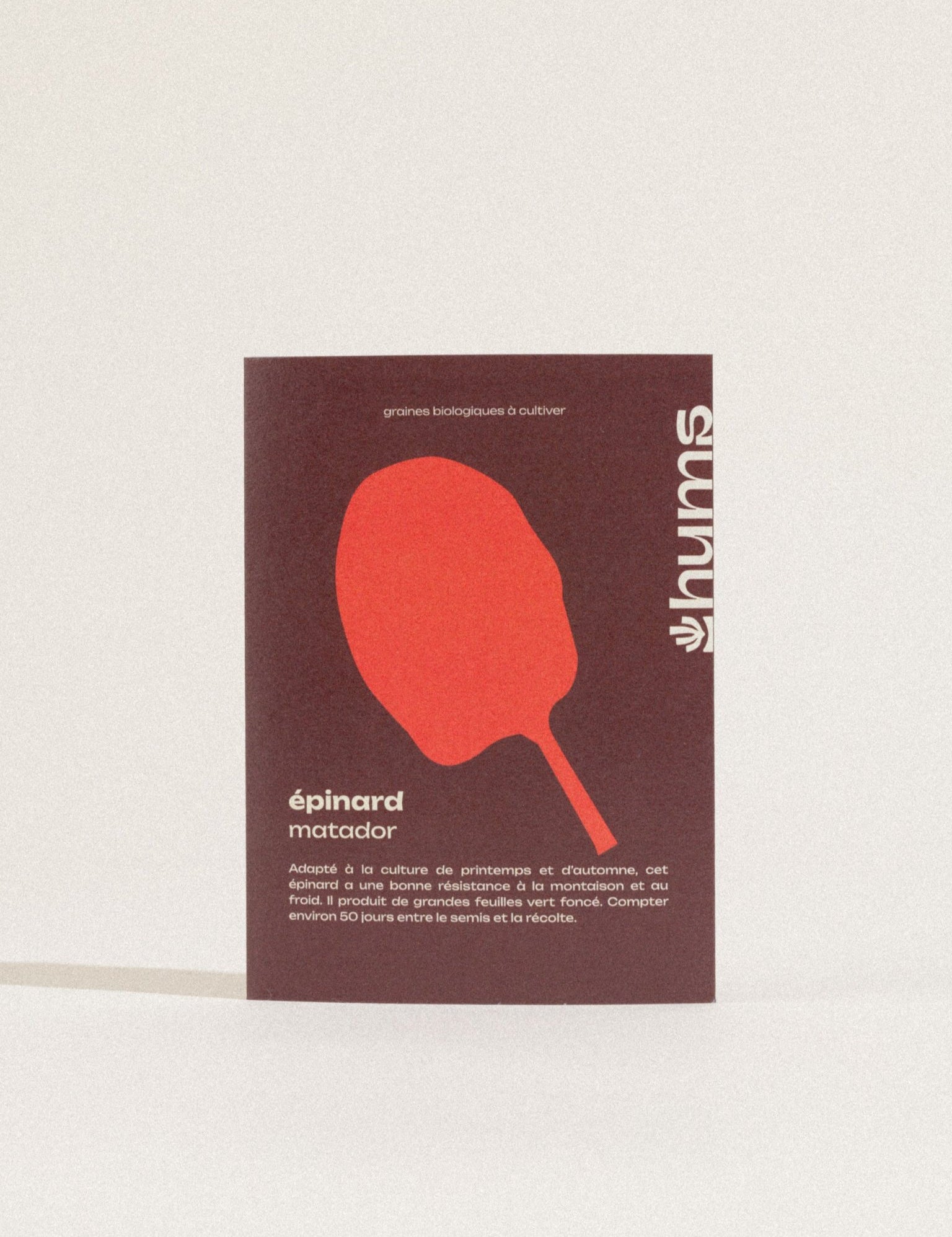 graines épinards matador bio