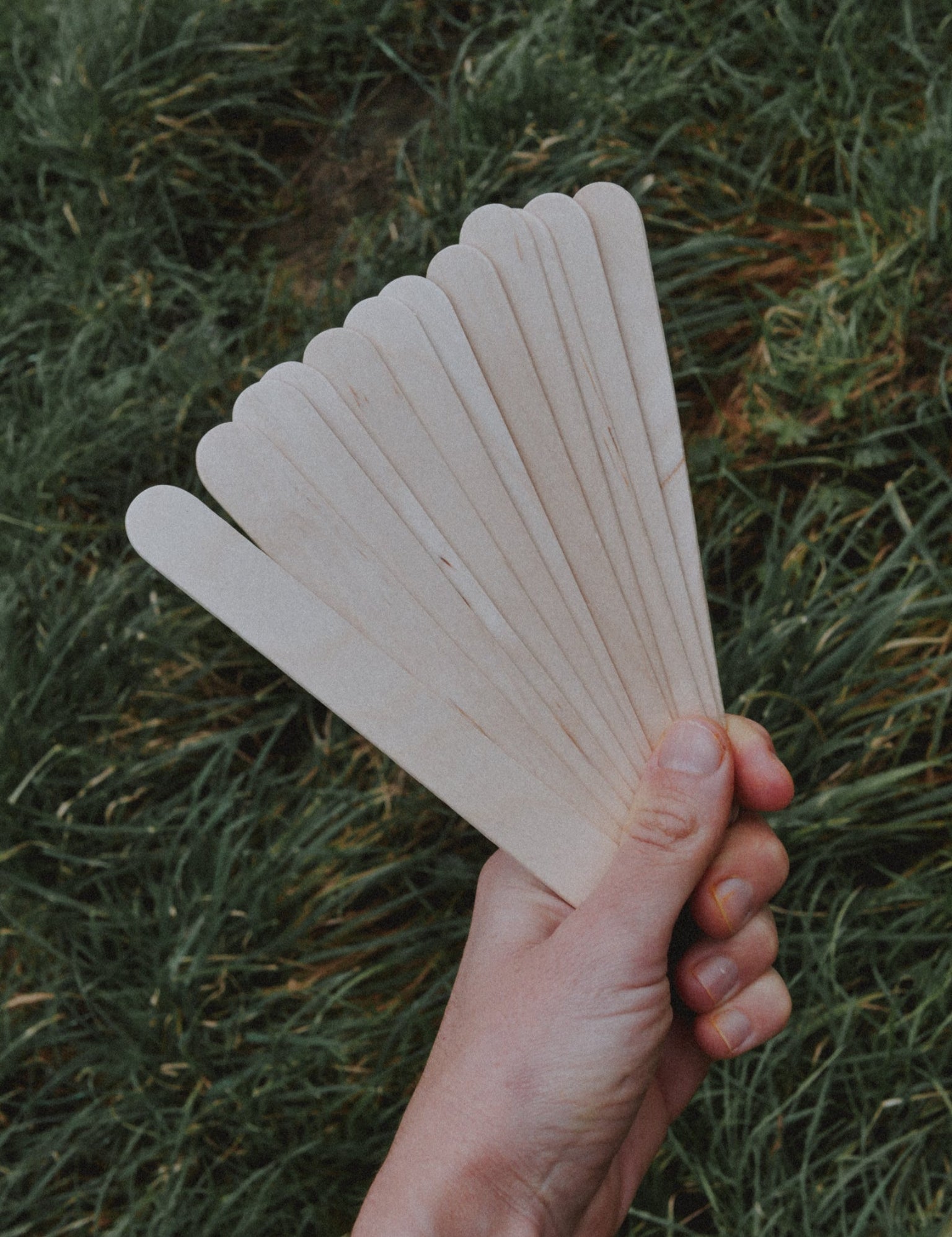 étiquettes pour semis en bois 15 cm de long