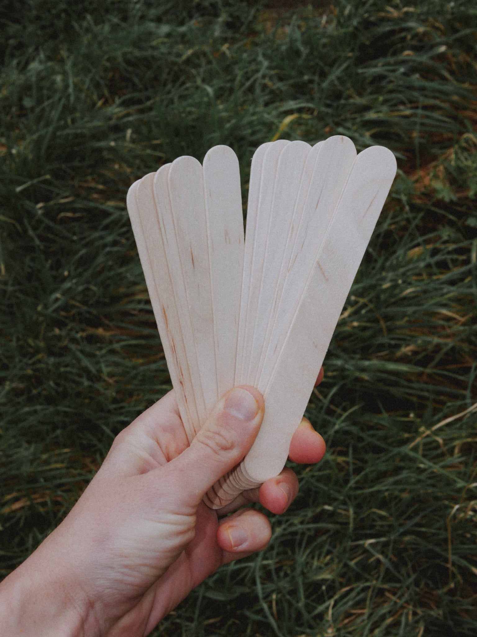 étiquettes pour semis en bois de 15 cm de long